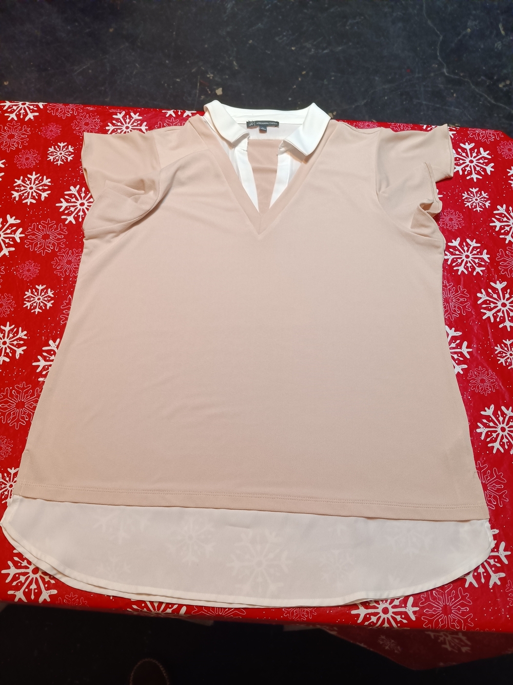 Charming Collared Flutter Sleeve Top - Beige/Black - Picture 6 of 11